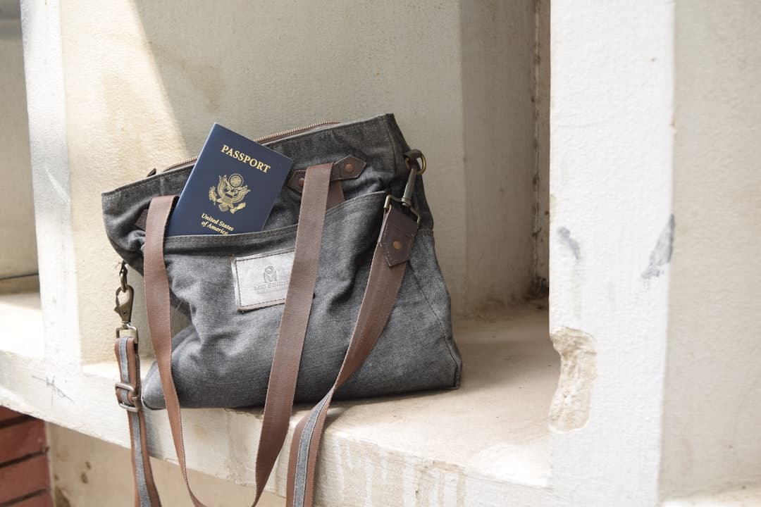 International passport and travel